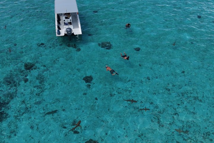 Snorkling i Taha'a eller Raiatea – Halvdag med Iriatai Excursions