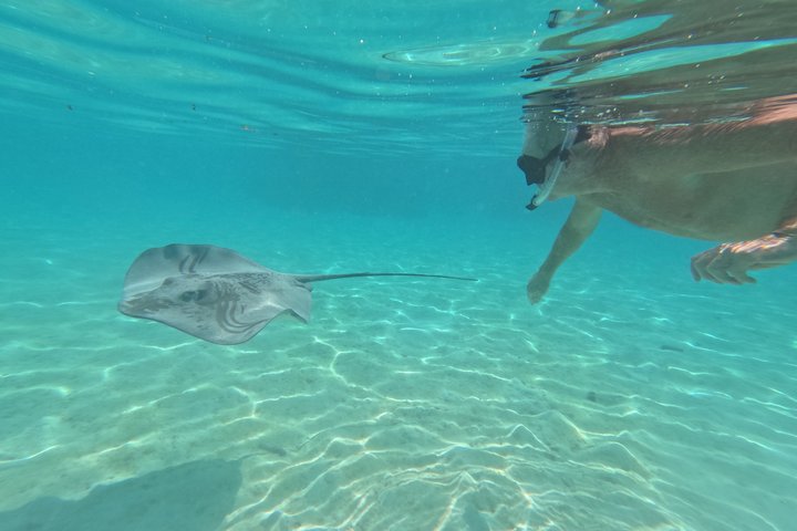 Snorkling i Taha'a eller Raiatea – Halvdag med Iriatai Excursions