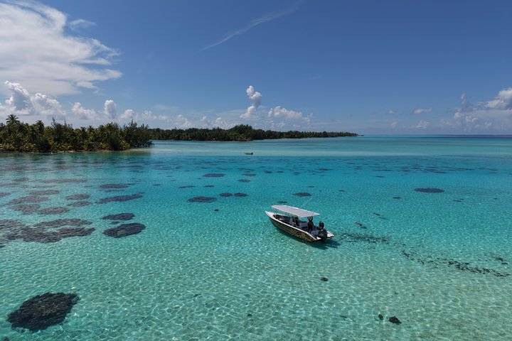 Snorkling i Taha'a eller Raiatea – Halvdag med Iriatai Excursions