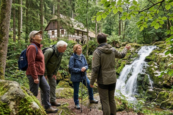 Privétour van een hele dag in Baden-Baden Zwarte Wouderfgoed