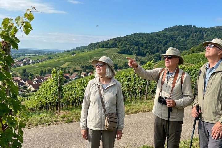 Tour privato a piedi nel patrimonio dei vigneti di Baden-Baden