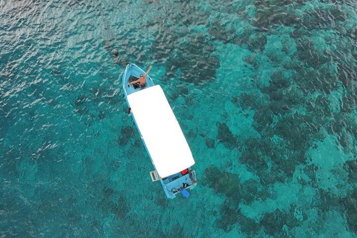 Tour privado de buceo Gili : Tortugas, Arrecifes + GoPro & Drone