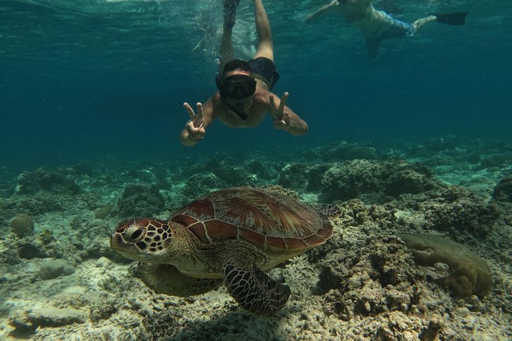 Tour privado de buceo Gili : Tortugas, Arrecifes + GoPro & Drone