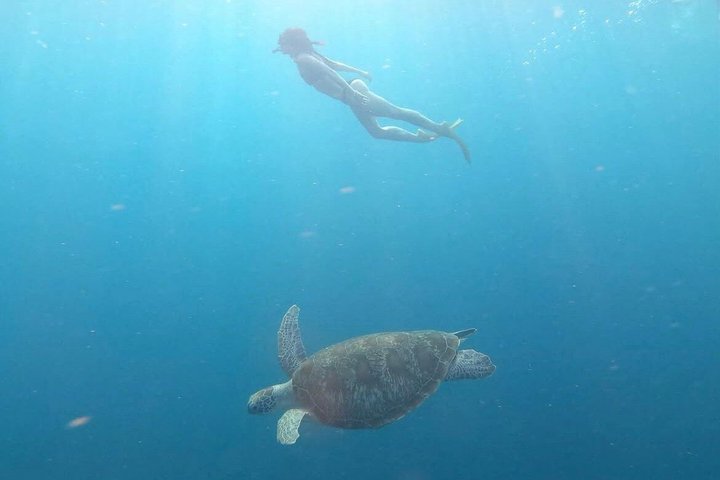 Tour privado de buceo Gili : Tortugas, Arrecifes + GoPro & Drone