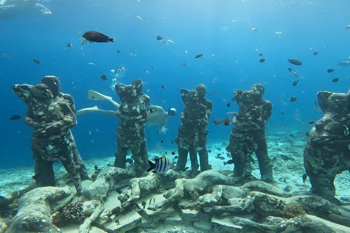 Tour privado de buceo Gili : Tortugas, Arrecifes + GoPro & Drone
