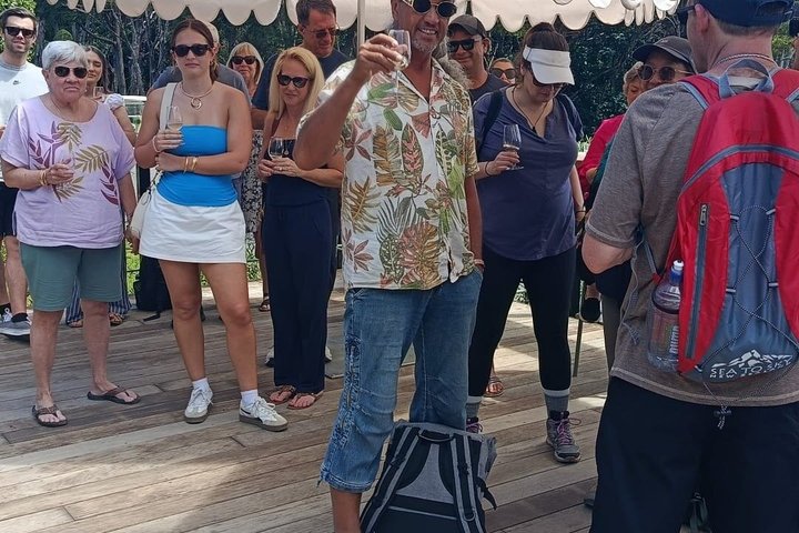 Auckland: Waiheke Island Seafront lunsj og premium vin tur