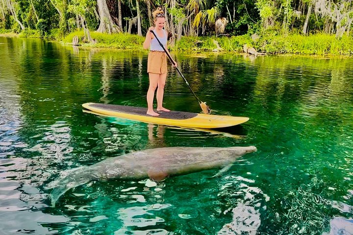 Restauranter i nærheten av Silver Springs Clear Kayak Tour