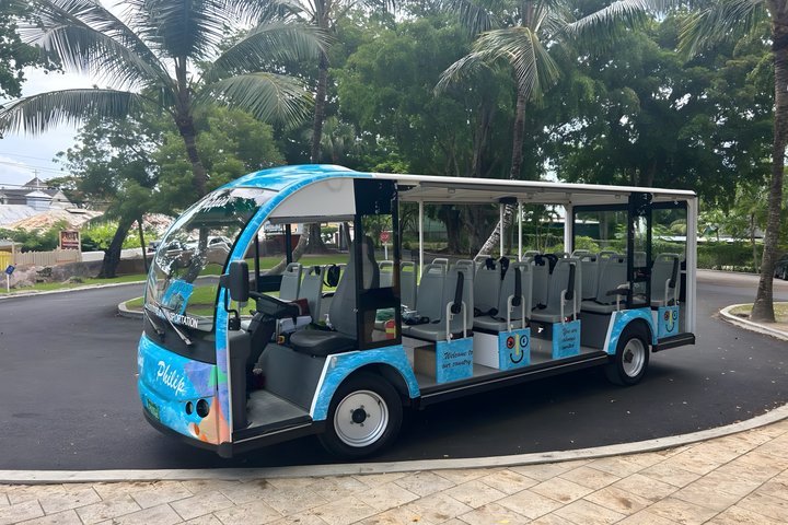 CHIPPIES BAHAMAS Island Tours: Feel The Culture