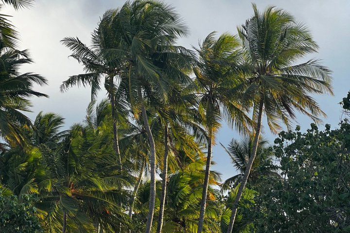 5 Tage All Inclusive Fulidhoo Abenteuer Wassersport und Ausflüge