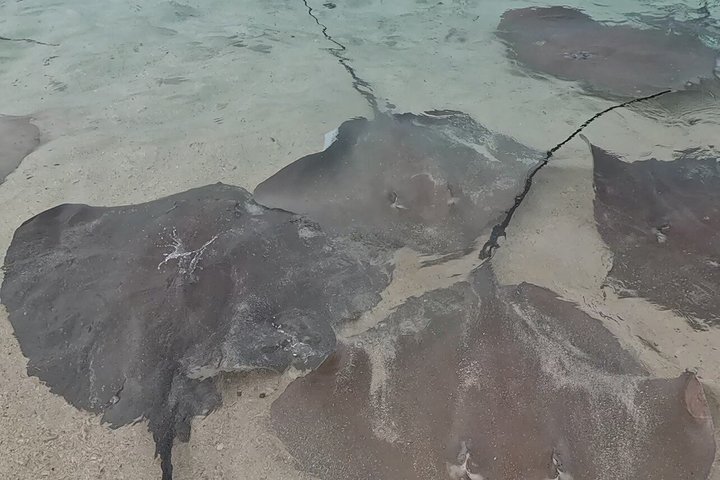 5 Tage All Inclusive Fulidhoo Abenteuer Wassersport und Ausflüge