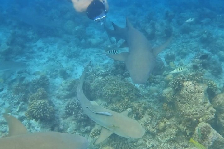 5 Tage All Inclusive Fulidhoo Abenteuer Wassersport und Ausflüge
