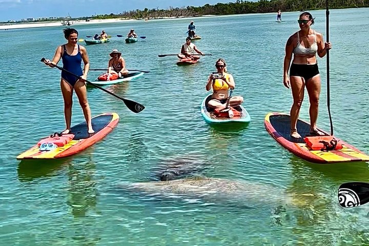 Hoteller i nærheden af Daytona Beach Dolphin & Manatee Kayak Wildlife Adventure