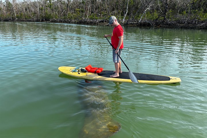 Hoteller i nærheden af Daytona Beach Dolphin & Manatee Kayak Wildlife Adventure