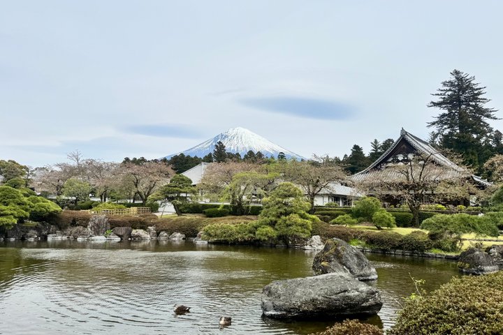 Tour privato del Monte Fuji dal porto di Shimizu | Escursione a terra