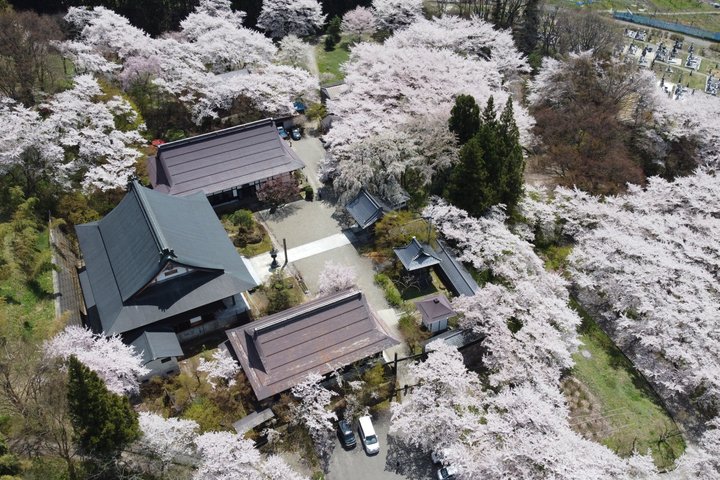 Ontspannen Sneeuwapen & Shibu Onsen : Green Season Privétour