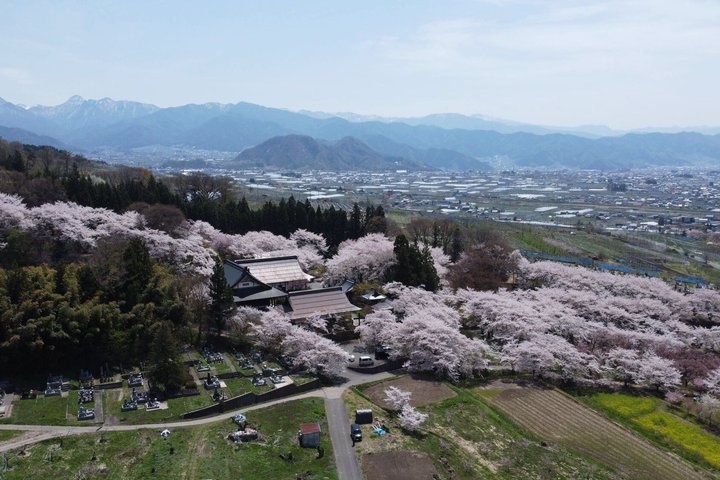 Ontspannen Sneeuwapen & Shibu Onsen : Green Season Privétour