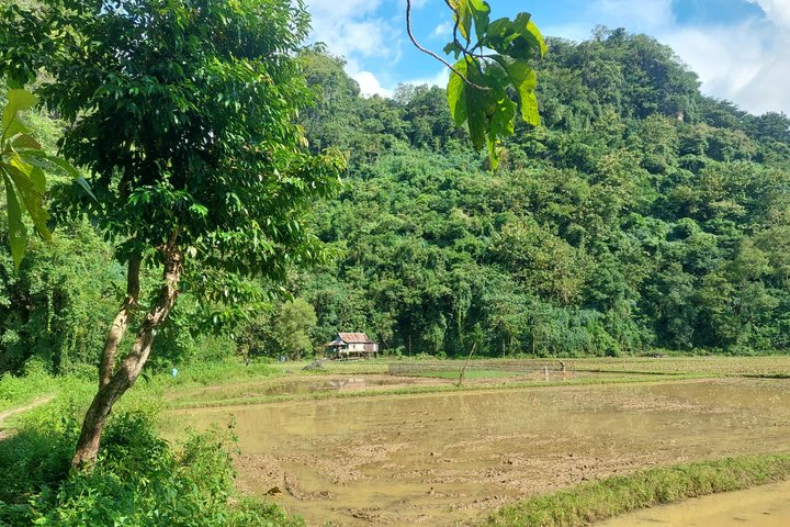 Tour Rammang-Rammang Karst South Sulawesi con guía local