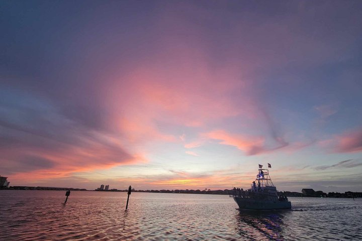 Crociera con delfini condivisi a Pensacola Beach | Frisky Mermaid
