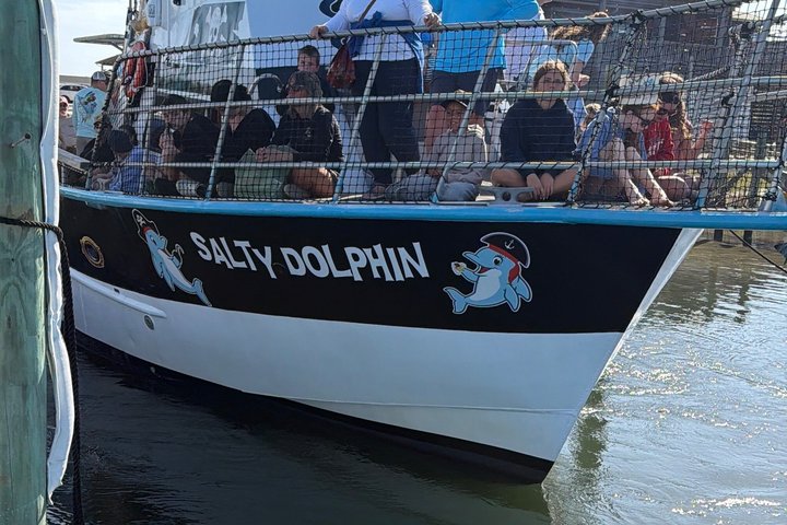 Crociera con delfini condivisi a Pensacola Beach | Frisky Mermaid