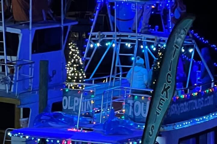 Crociera con delfini condivisi a Pensacola Beach | Frisky Mermaid