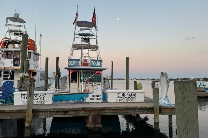 Crociera con delfini condivisi a Pensacola Beach | Frisky Mermaid