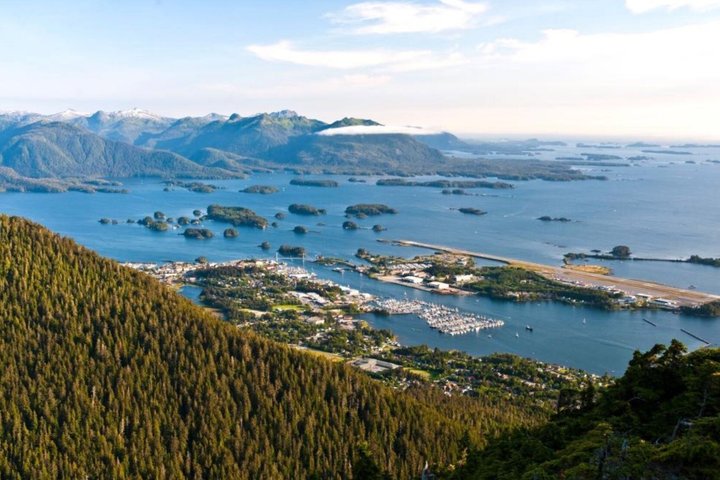 Tour guidato di gruppo ridotto di Sitka Wildlife and Totem Forest