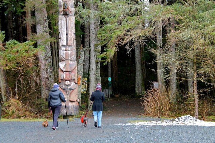 Tour guidato di gruppo ridotto di Sitka Wildlife and Totem Forest