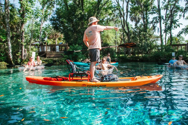 Restauranter i nærheten av Crystal River: Three Sisters Manatee Clear Kayak Tour