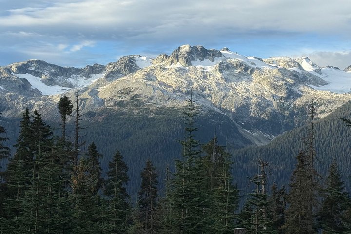 Whistler Morning avec les Bears Land Rover Visite panoramique