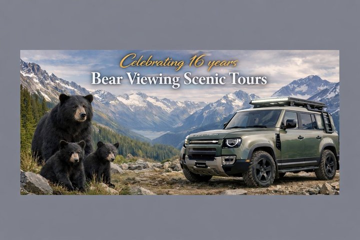 Whistler Morning avec les Bears Land Rover Visite panoramique