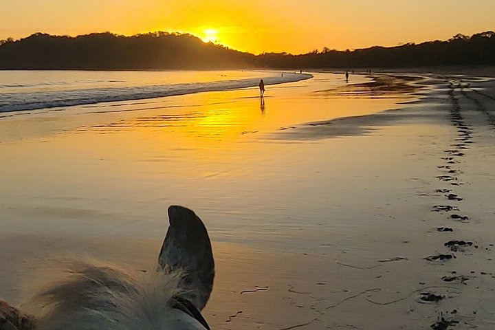 Balade à cheval à Puerto Carrillo : Plage & Jungle