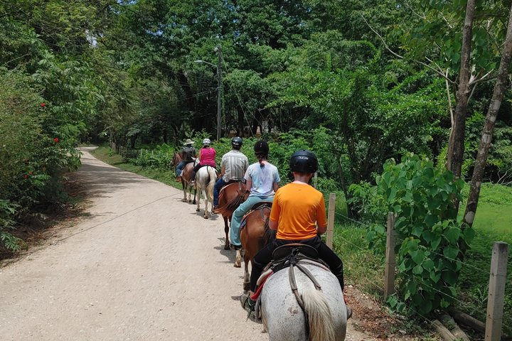 Balade à cheval à Puerto Carrillo : Plage & Jungle