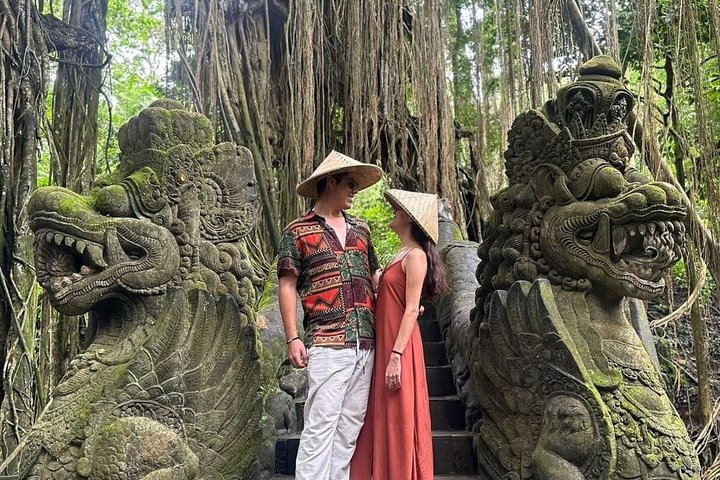 Ubud Private Tour Rice Terraces Temples Waterfalls.
