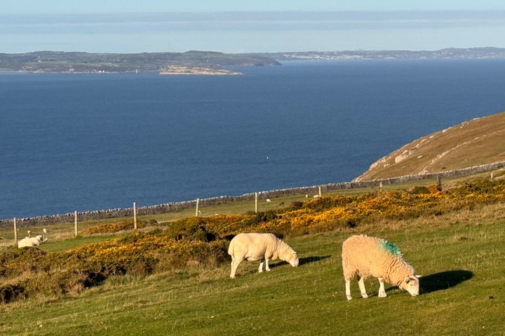 Private luksus North Wales Tour – Snowdonia & Conwy (Dør til dør)
