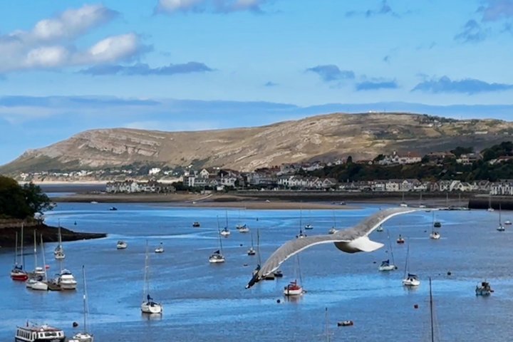 Private luksus North Wales Tour – Snowdonia & Conwy (Dør til dør)