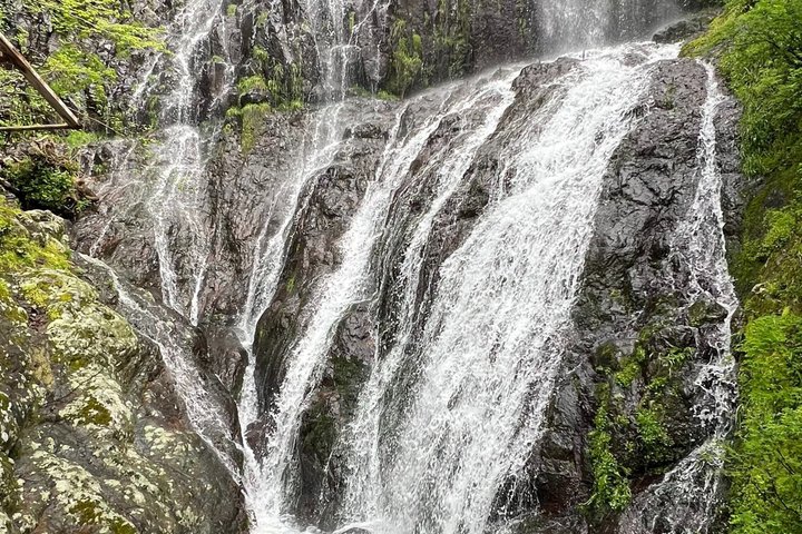 Hoteller i nærheden af Mountainous Adjara Tour Waterfalls Mountains and Feast