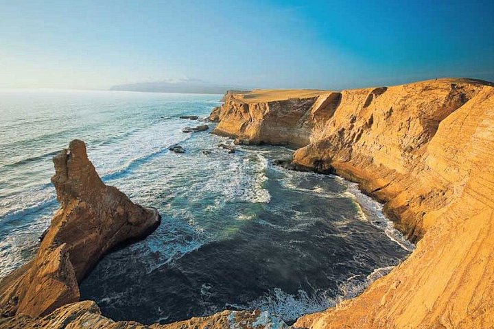 Excursão de dia inteiro Ilhas Ballestas, Reserva Paracas e Huacachina