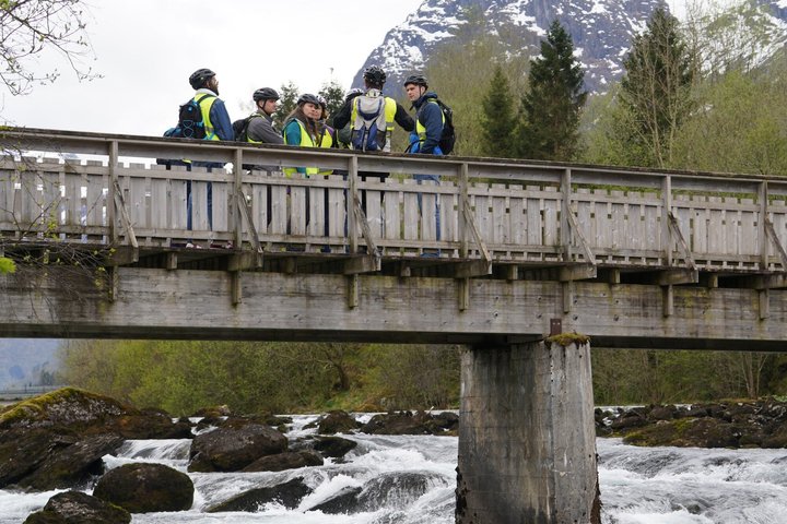 Olden : Naturskön elcykeltur med sjönära picknick och utsikt över fjorden