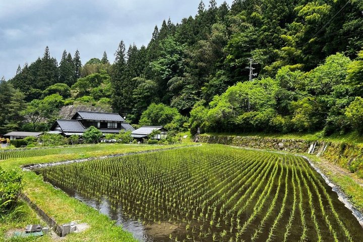Magome till Tsumago vandringstur från Nagoya