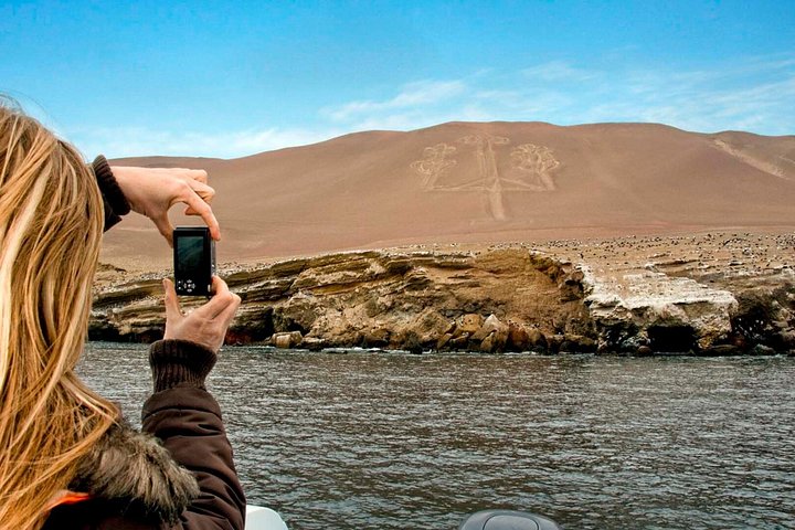 Excursão de dia inteiro Ilhas Ballestas, Reserva Paracas e Huacachina