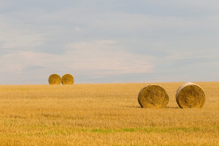 Mértola Vin- og Tapasoplevelse på en Skjult Alentejo-gods