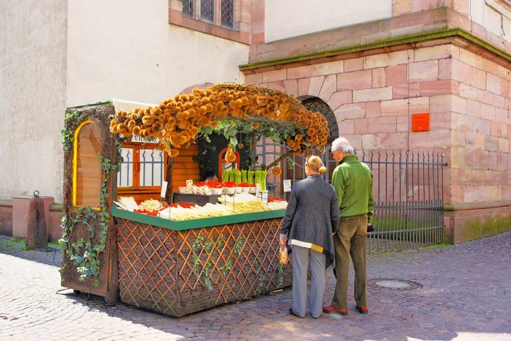 Hallo Heidelberg : Privater 2-stündiger Stadtrundgang mit Ortskundiger Reiseleiter