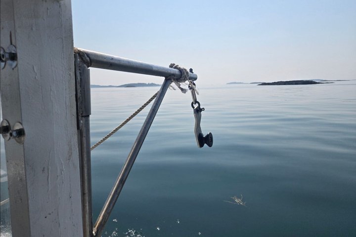 Esperienze di pesca all'aragosta di Belfast — Midcoast Maine