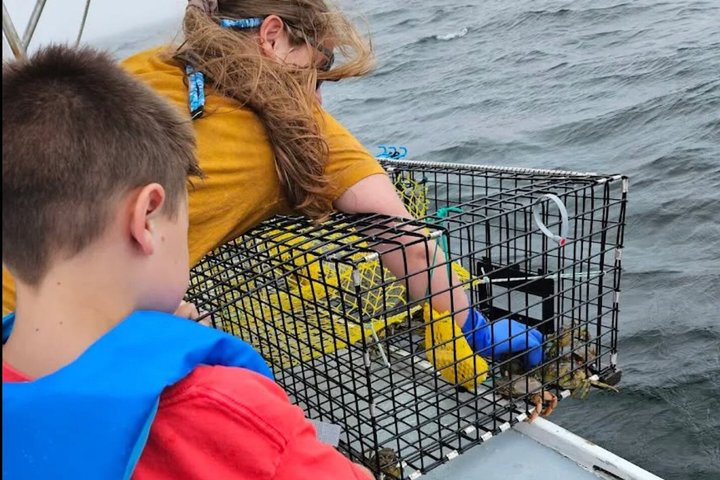 Esperienze di pesca all'aragosta di Belfast — Midcoast Maine