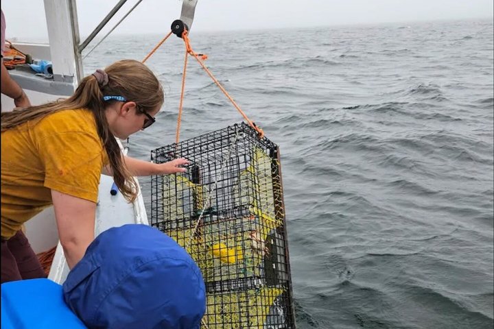 Esperienze di pesca all'aragosta di Belfast — Midcoast Maine