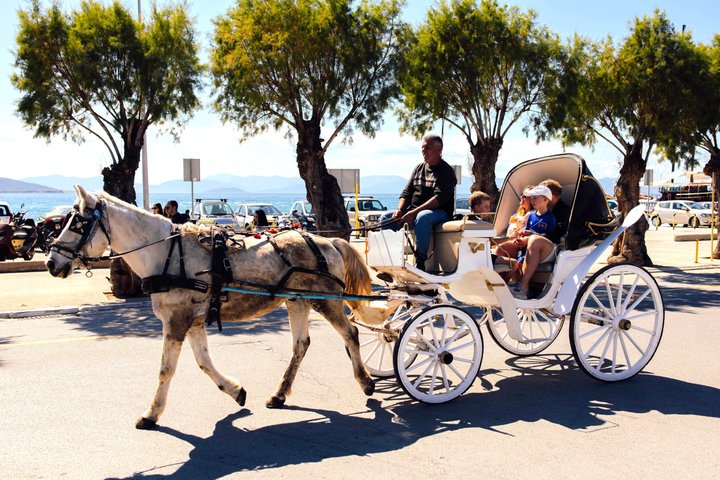 Croisière à Athènes: Agistri, Moni/Metopi, Égine avec déjeuner et boissons
