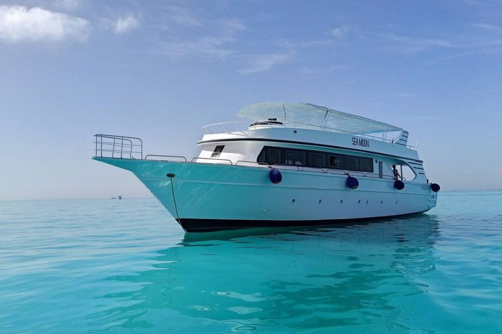 Hurghada: VIP Seafood Yacht till 3 öar, delfiner och snorkling