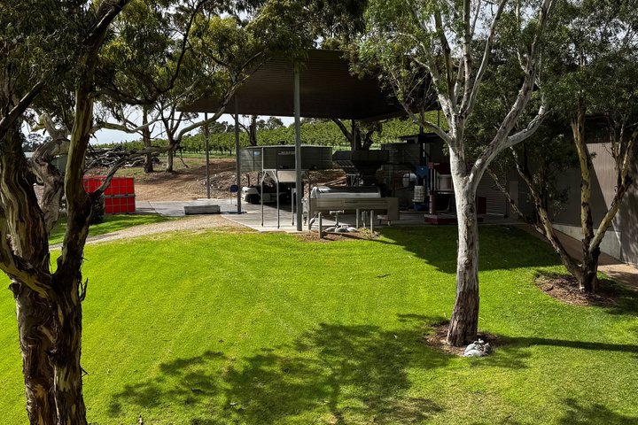 Opdag Barossa: 4 Vinprovninger, gourmet frokost og skjulte perler