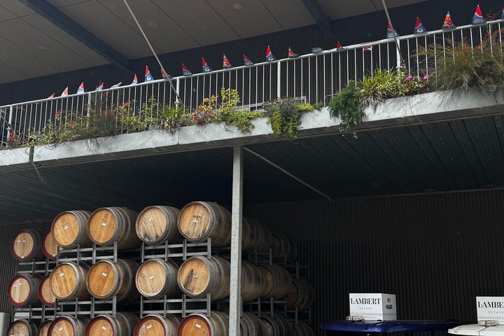 Opdag Barossa: 4 Vinprovninger, gourmet frokost og skjulte perler