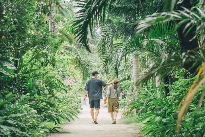 Okinawa Iriomote SUP or Canoe and Sightseeing in Yubujima Island